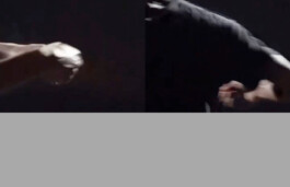 tïran ɯïllǝmƧǝ